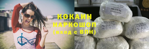 spice Бородино