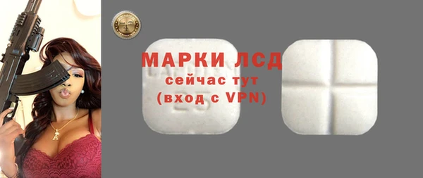 spice Бородино