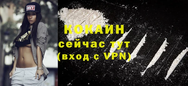 spice Бородино