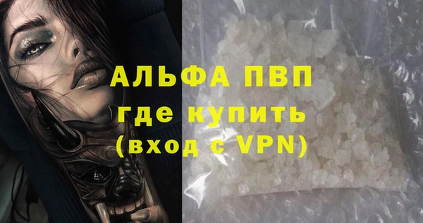 spice Бородино