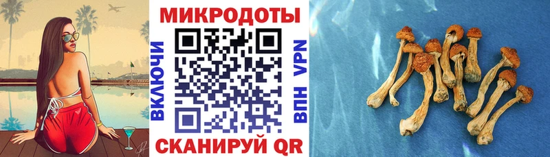 Галлюциногенные грибы MAGIC MUSHROOMS  Миллерово 